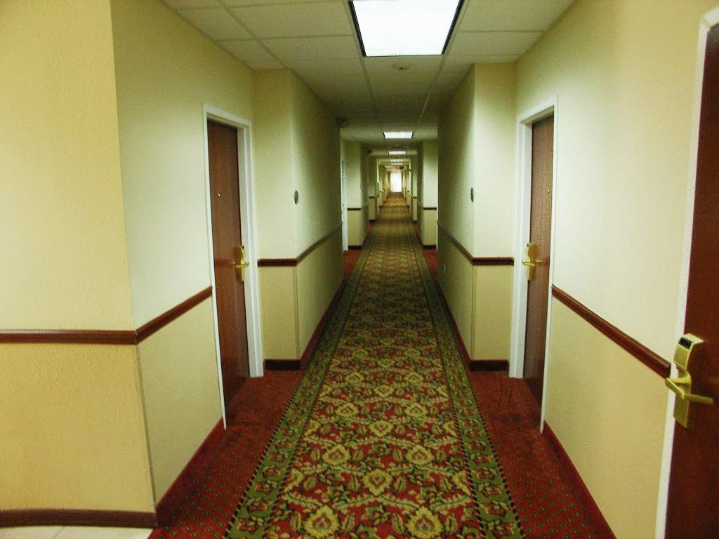 Quality Inn Zephyrhills-Dade City Dış mekan fotoğraf